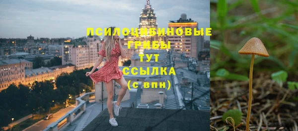 МДПВ Верея